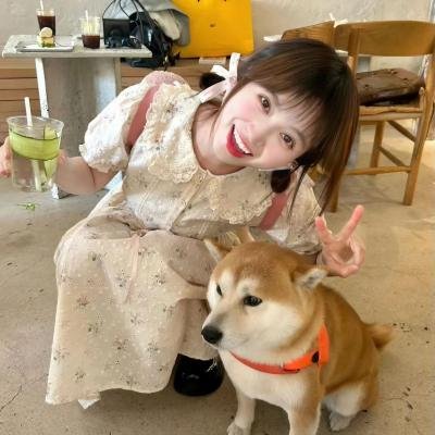 动物也疯狂